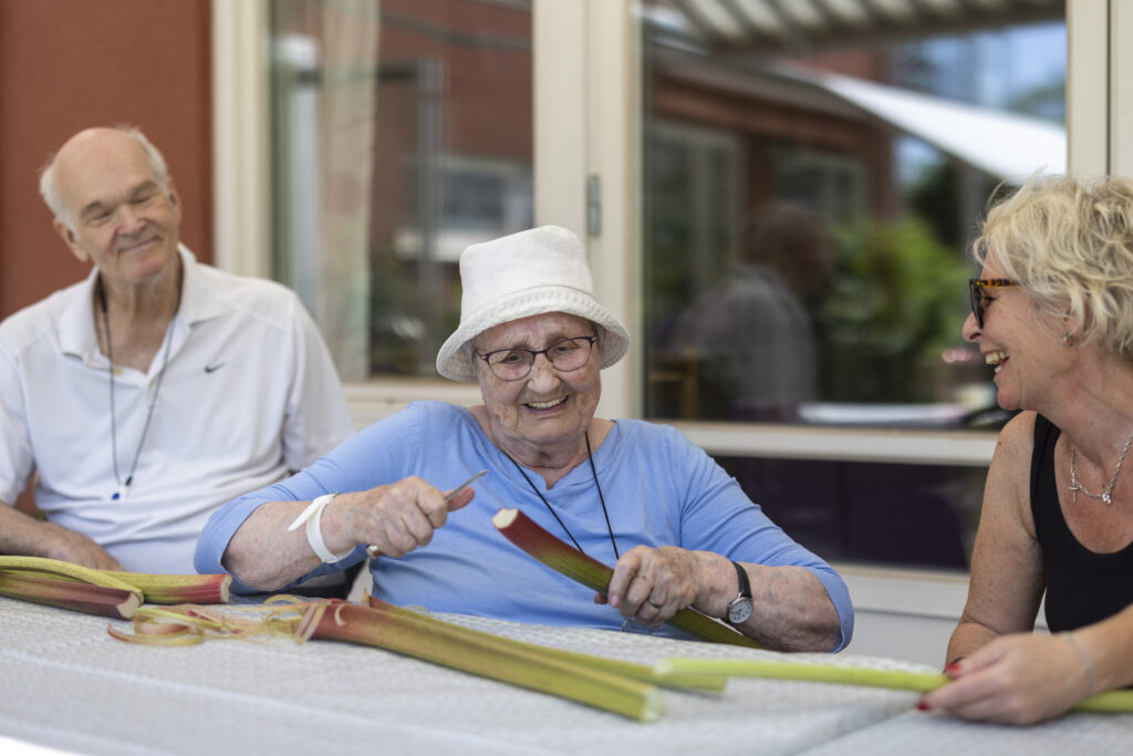 Två boende skalar rabarber och skrattar.